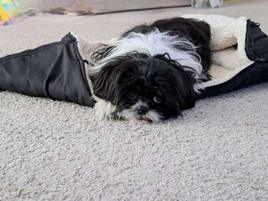 Foto Challenge Nr. 134-Beitrag-Bild