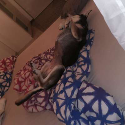 Foto Challenge Nr. 134-Beitrag-Bild