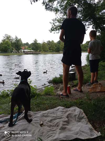 42.Fotochallenge - Eure schönen Momente beim Spaziergang-Beitrag-Bild