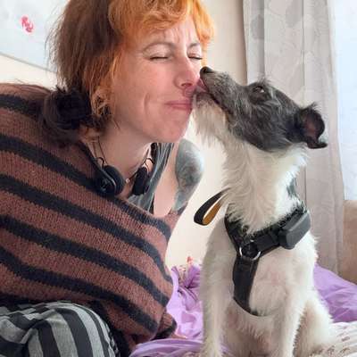 Hundetreffen-Suche neue Freunde zum Toben 😊-Bild