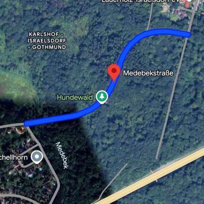 Giftköder-Giftköder Hundewald-Bild