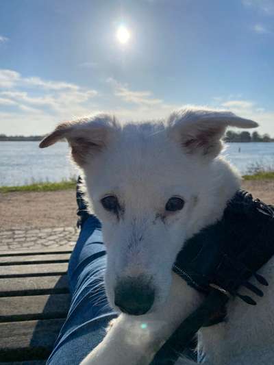 Fotochallenge Nr. 56 - geliebte Senioren-Beitrag-Bild