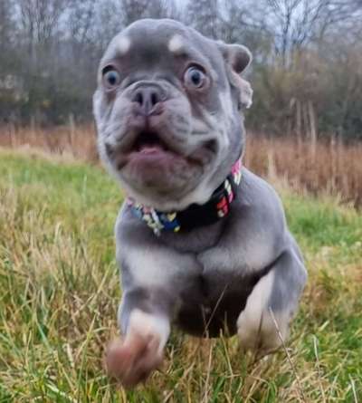 Fotochallenge Nr. 67: Euer Lieblingsbild-Beitrag-Bild