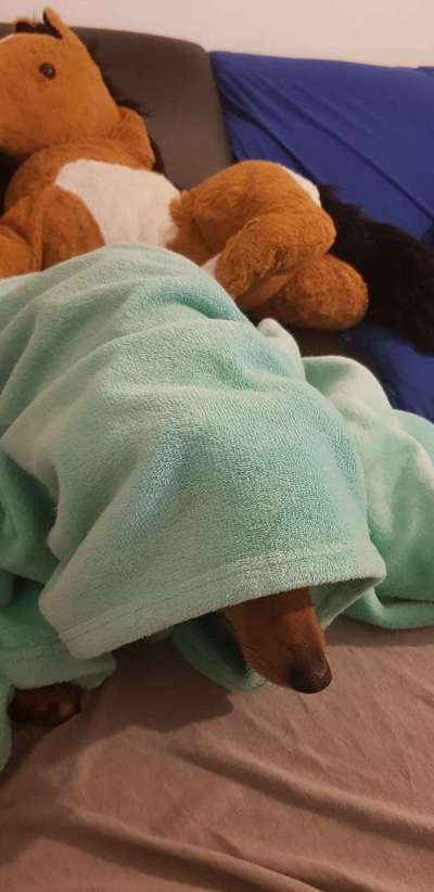 Challenge 21 - wo bin ich : )-Beitrag-Bild