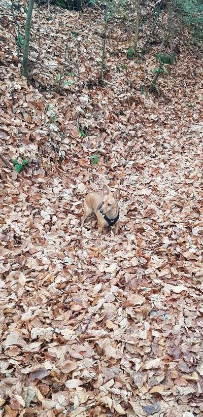 Challenge 21 - wo bin ich : )-Beitrag-Bild