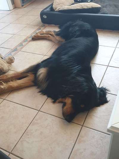 Stressabbau / Entspannung trainieren-Beitrag-Bild