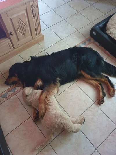 Stressabbau / Entspannung trainieren-Beitrag-Bild