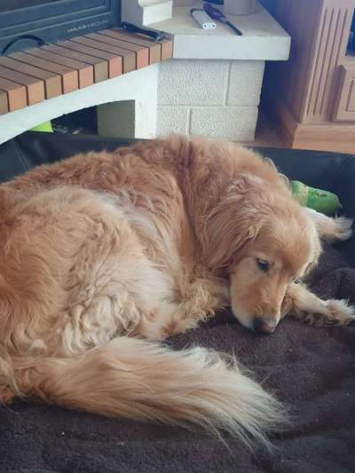 Stressabbau / Entspannung trainieren-Beitrag-Bild