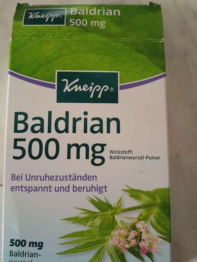 "Beruhigungsmittel" für Hunde-Beitrag-Bild