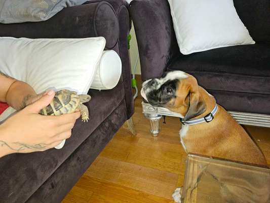 147. Foto Challenge: Bettelblick-Beitrag-Bild