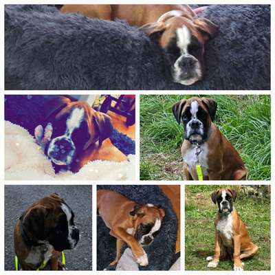 48. Collagen Challenge: Das Leben ist bunt-Beitrag-Bild