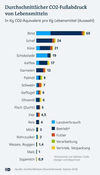 Hundehaltung und Klimawandel-Beitrag-Bild