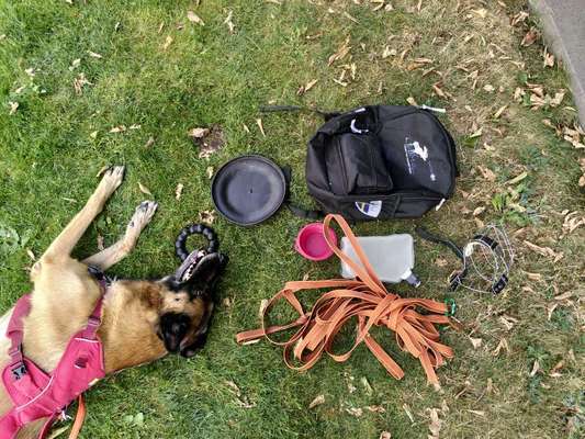 Schleppleine-Beitrag-Bild