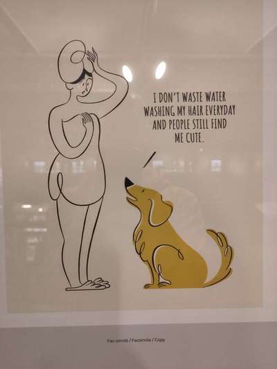 Hunde Memes-Beitrag-Bild