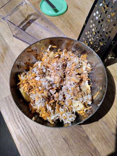 Alles rund um den Schäferhund, diskutieren erwünscht.-Beitrag-Bild