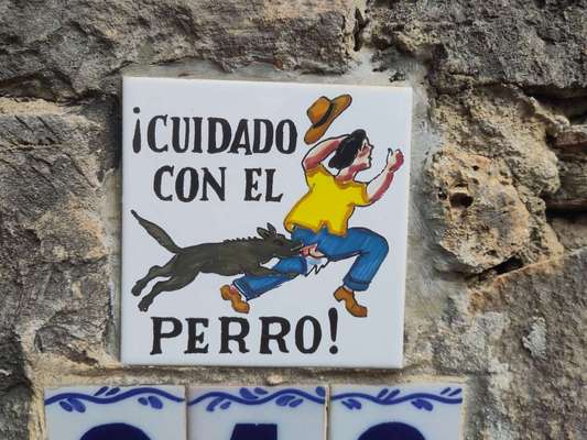 Hunde Memes-Beitrag-Bild