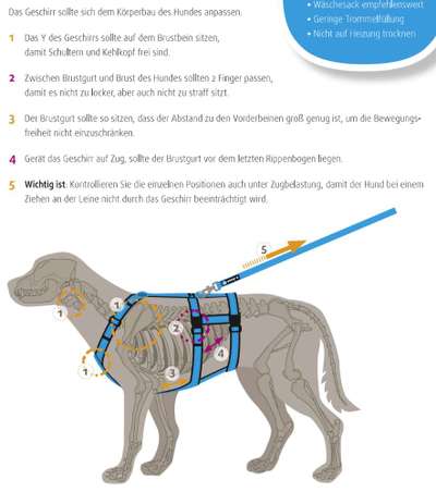 Wie sitzt mein Geschirr?-Beitrag-Bild