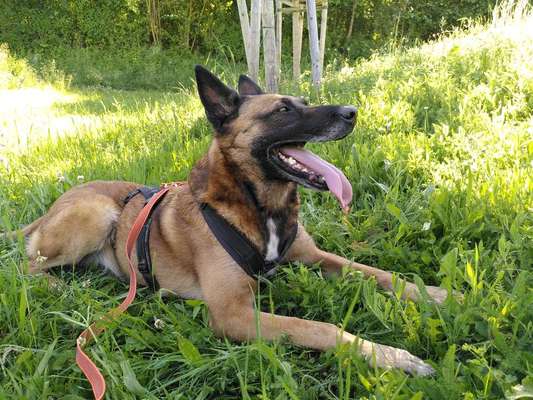 Doppelgänger gesucht !-Beitrag-Bild