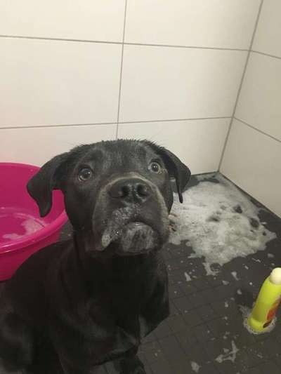 Lustige Bilder-Beitrag-Bild