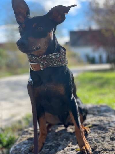 Zeigt eure Portraits-Beitrag-Bild