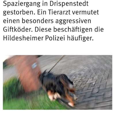 Giftköder-Giftköder-Bild