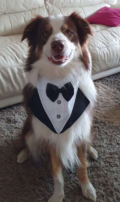 13. Kurzgeschichten Challenge - Dinner for one-Beitrag-Bild