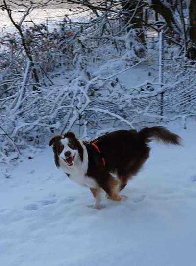 14. Farbenfoto-Challenge "Weiss"-Beitrag-Bild