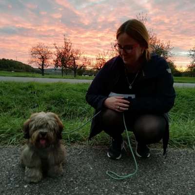 Hundetreffen-Gassi gehen mit Gleichgesinnten-Profilbild