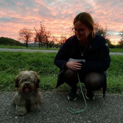 Hundetreffen-Gassi gehen mit Gleichgesinnten