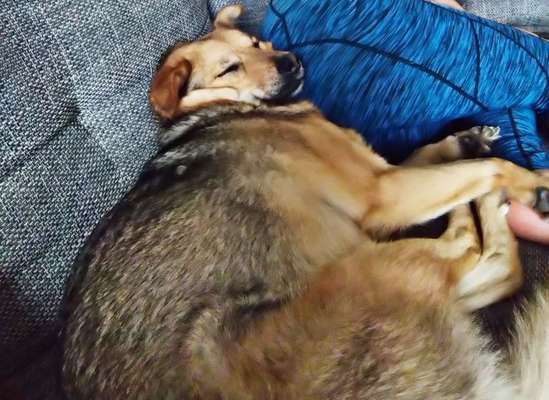 Die unbequemsten und lustigsten Schlafpositionen-Beitrag-Bild