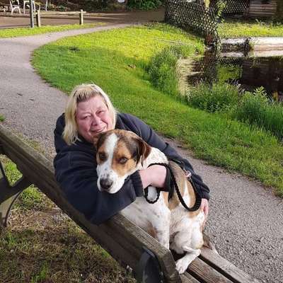 Hundetreffen-Gassi gehen