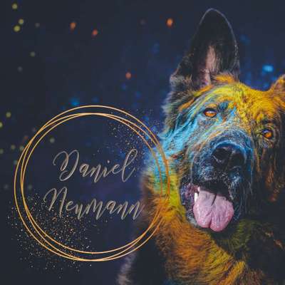 Tierfotografie Daniel Neumann Foto + Design in Neißeaue  – Dogorama