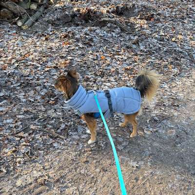 Welche Mäntel empfehlt ihr?-Beitrag-Bild