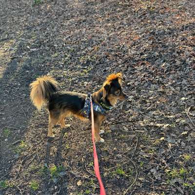 Tierärzte-Medivet TA Praxis-Bild