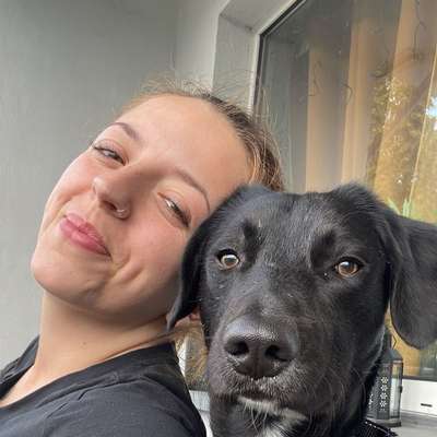 Hundetreffen-Gassipartner