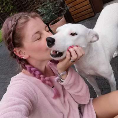 Hundetreffen-Soziale Kontakte für den Hund-Profilbild