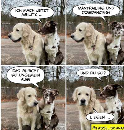 Hunde Memes-Beitrag-Bild