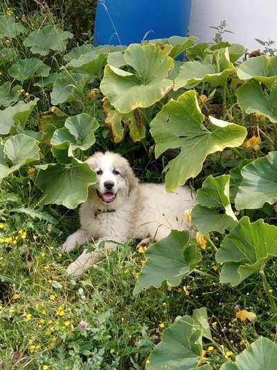 Sie werden so schnell erwachsen ...-Beitrag-Bild