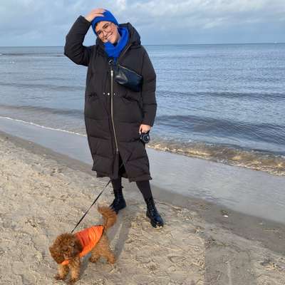 Hundetreffen-Playdate Sachsenhausen-Profilbild