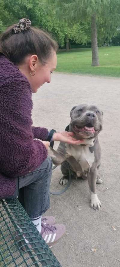Hundetreffen-Wir suchen Hundefreunde-Bild