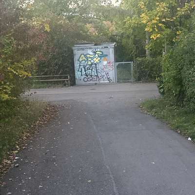 Giftköder-Weißes Pulver auch hier oben-Bild