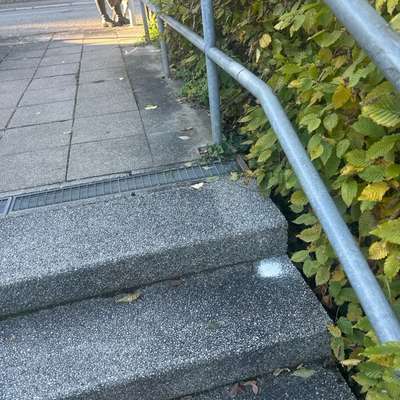 Giftköder-Komisches weißes Pulver-Bild