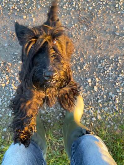 Fotochallange Nr. 6 Die irrsten Blicke-Beitrag-Bild