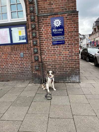 151. Photo Challenge: Sehenswürdigkeiten-Beitrag-Bild