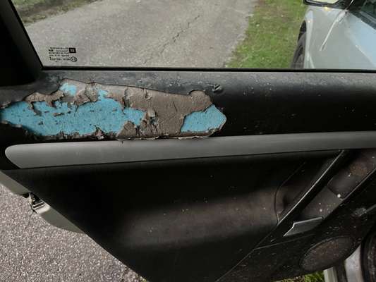 Was haben eure Hunde schon gefressen oder zerstört ?-Beitrag-Bild