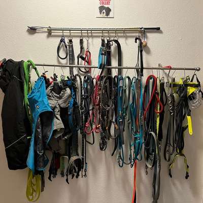 Zeigt her eure Gassi-Stationen =)-Beitrag-Bild