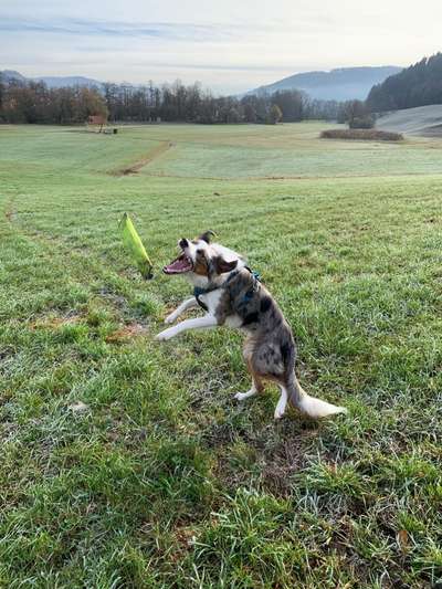 Fotochallange Nr. 6 Die irrsten Blicke-Beitrag-Bild