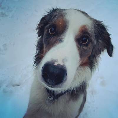 Zeigt mir eure Lieblingsfotos ♡♡-Beitrag-Bild