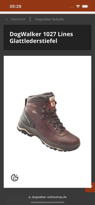 Schuhe zum Gassi gehen-Beitrag-Bild