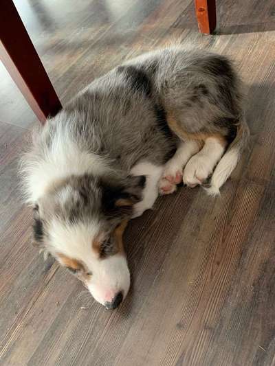 Vorher.... Nachher-Beitrag-Bild